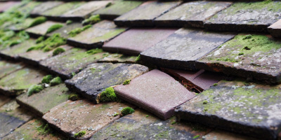 Stottesdon roof repair costs